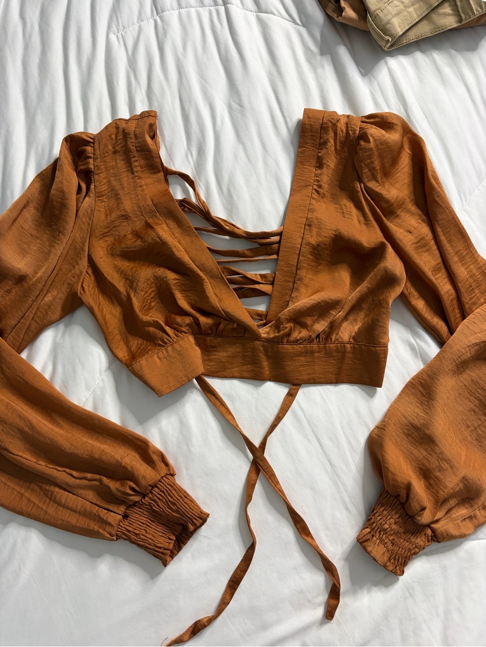 Windsor Rust Brown Lace-Up Long Sleeve Crop Top